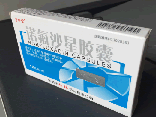 景珍堂诺氟沙星胶囊招商代理 24粒