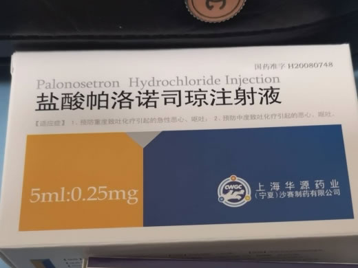 盐酸帕洛诺司琼注射液