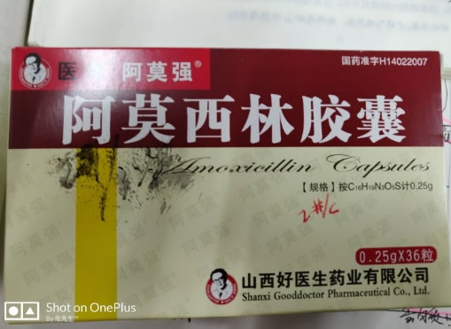 医奇/阿莫强阿莫西林胶囊招商代理 36粒