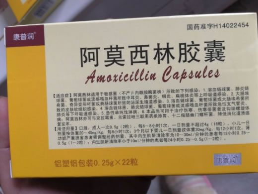 康普润阿莫西林胶囊招商代理 22粒