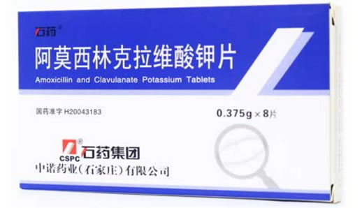 石药阿莫西林克拉维酸钾片招商代理 0.375g*8片 石药集团中诺