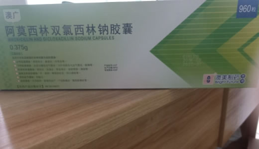 澳广阿莫西林双氯西林钠胶囊招商代理 960粒