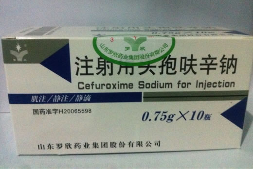 罗欣注射用头孢呋辛钠招商代理 10瓶
