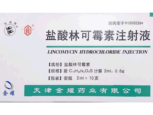 盐酸林可霉素注射液招商代理 天津金耀