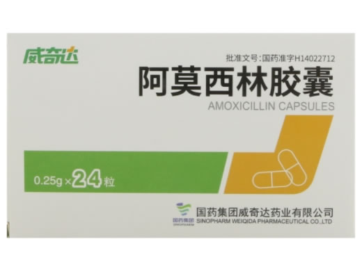 威奇达阿莫西林胶囊招商代理 24粒