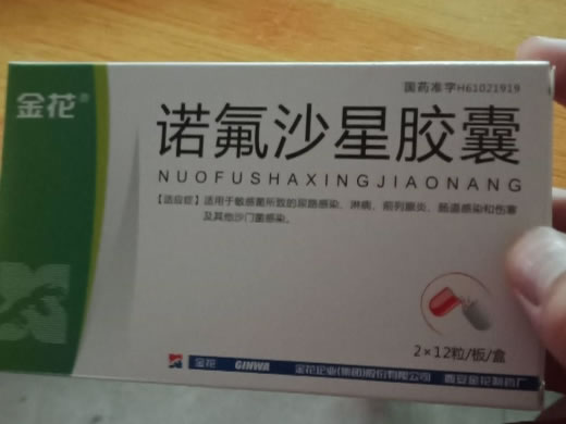 金花诺氟沙星胶囊招商代理 24粒 金花企业(集团)