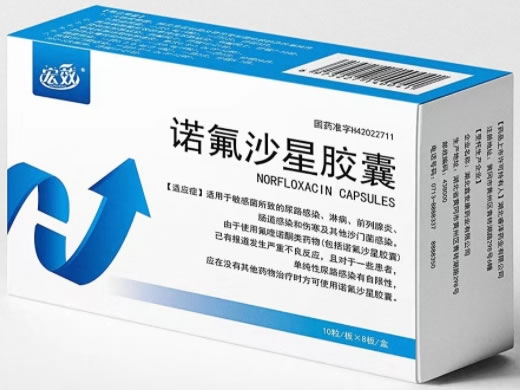宏效诺氟沙星胶囊招商代理 80粒