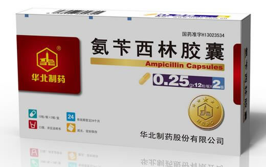 氨苄西林胶囊