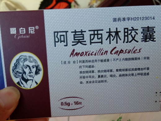 哥白尼阿莫西林胶囊招商代理 16粒
