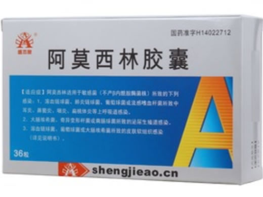 盛杰奥阿莫西林胶囊招商代理 36粒