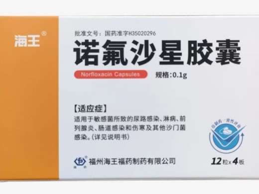 诺氟沙星胶囊
