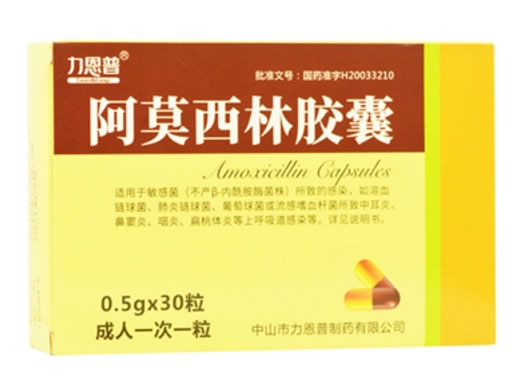 阿莫西林胶囊招商代理 30粒 力恩普制药