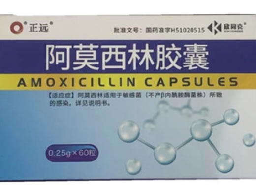 正远/欣同克阿莫西林胶囊招商代理 60粒 四川峨嵋山