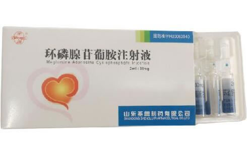 圣鲁环磷腺苷葡胺注射液招商代理 10支