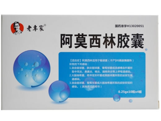 老专家阿莫西林胶囊招商代理 40粒