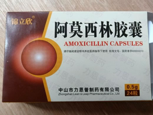 锦立欣阿莫西林胶囊招商代理 24粒