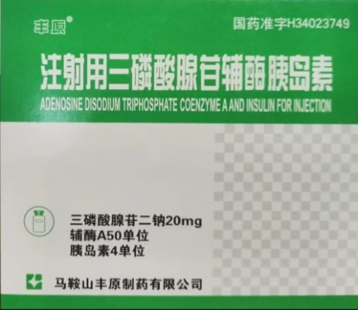 丰原注射用三磷酸腺苷辅酶胰岛素招商代理 丰原