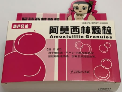 葫芦兄弟阿莫西林颗粒招商代理 15袋