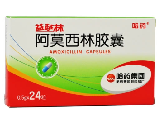 阿莫西林胶囊招商代理 24粒 哈药集团制药总厂