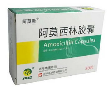 阿莫新阿莫西林胶囊招商代理 0.5g*30粒