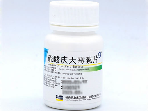 硫酸庆大霉素片
