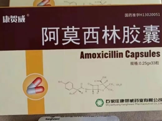 康贺威阿莫西林胶囊招商代理 33粒 康贺威