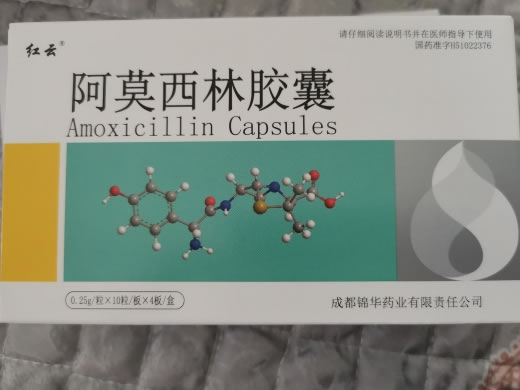 红云阿莫西林胶囊招商代理 40粒 锦华药业