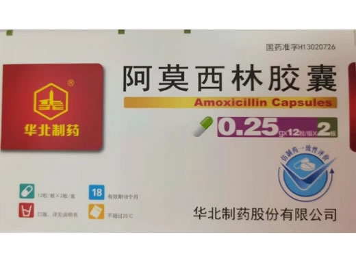 华北制药阿莫西林胶囊招商代理 24粒