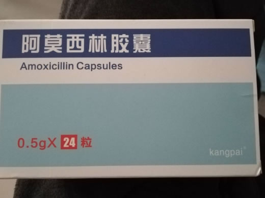 kangpai阿莫西林胶囊招商代理 24粒