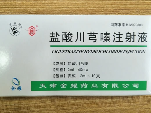 盐酸川芎嗪注射液招商代理 2ml:40mg*10支 天津金耀