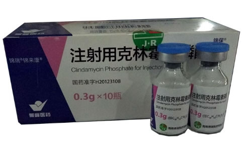 锦瑞/锦来康/锦保注射用克林霉素磷酸酯招商代理 0.3g*10瓶