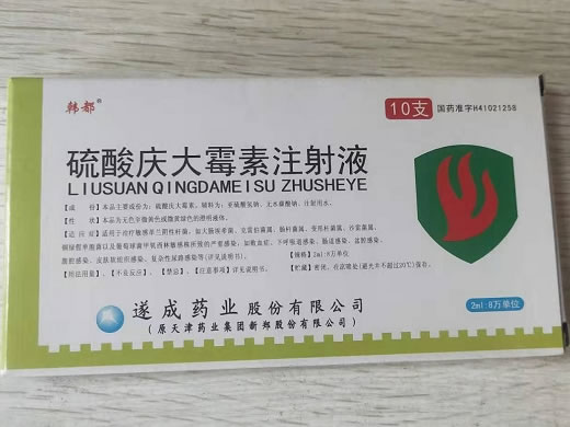 硫酸庆大霉素注射液招商代理 2ml:8万单位*10支 遂成药业
