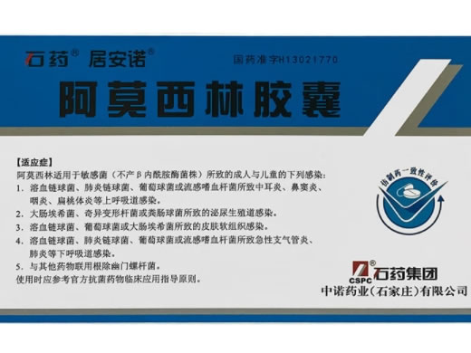 石药/居安诺阿莫西林胶囊招商代理 44粒