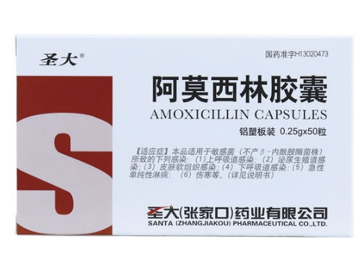 圣大阿莫西林胶囊招商代理 0.25g*50粒 圣大(张家口)药业