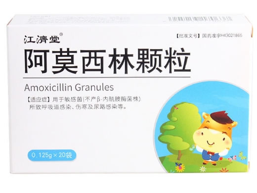 江济堂阿莫西林颗粒招商代理 20袋