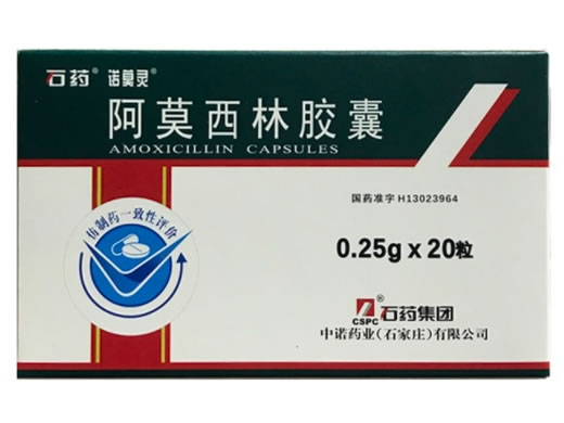 石药/诺莫灵阿莫西林胶囊招商代理 0.25g*20粒