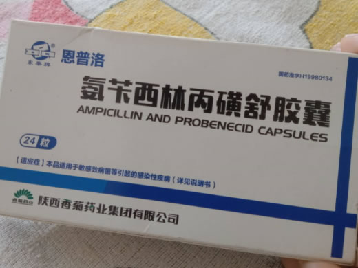 恩普洛氨苄西林丙磺舒胶囊招商代理 24粒 香菊药业