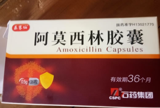 乐赛仙阿莫西林胶囊招商代理 16粒