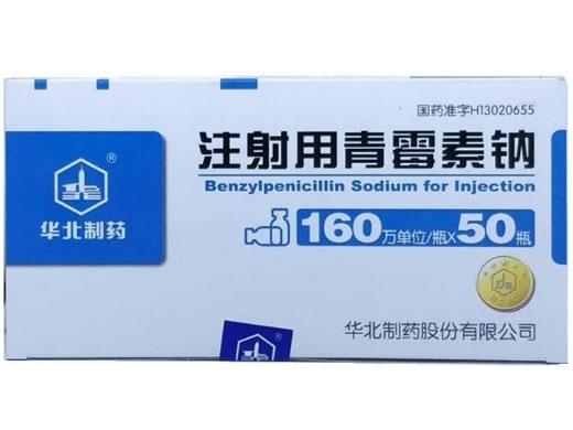 注射用青霉素钠招商代理 50瓶 华北制药