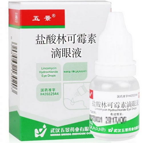 盐酸林可霉素滴眼液招商代理 8ml 五景药业