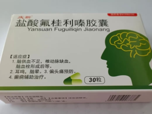 庆新盐酸氟桂利嗪胶囊招商代理 30粒