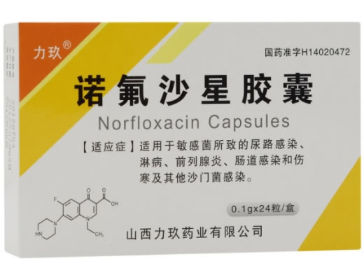 诺氟沙星胶囊招商代理 山西力玖