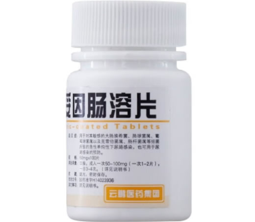 云鹏呋喃妥因肠溶片招商代理 100片