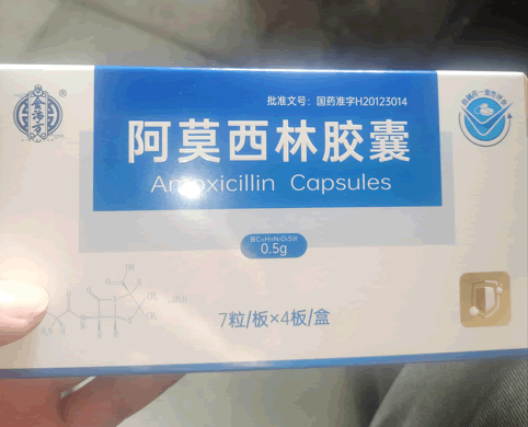 金沛方阿莫西林胶囊招商代理 