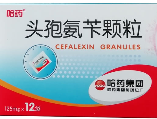 哈药头孢氨苄颗粒招商代理 12袋 哈药集团