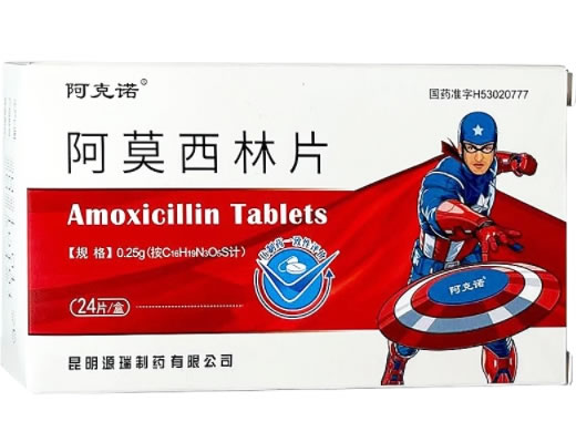 阿克诺阿莫西林片招商代理 24片 阿克诺