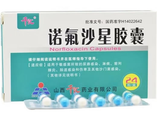 千汇诺氟沙星胶囊招商代理 24粒 山西千汇药业