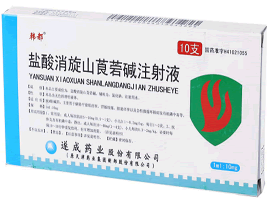 盐酸消旋山莨菪碱注射液招商代理 10支 遂成药业