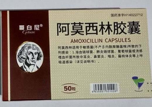 哥白尼阿莫西林胶囊招商代理 50粒