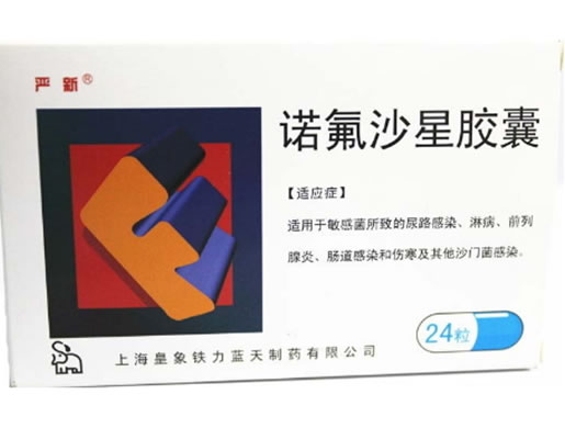 严新诺氟沙星胶囊招商代理 :诺氟沙星胶囊 0.1g*24粒 上海皇象铁力蓝天制药